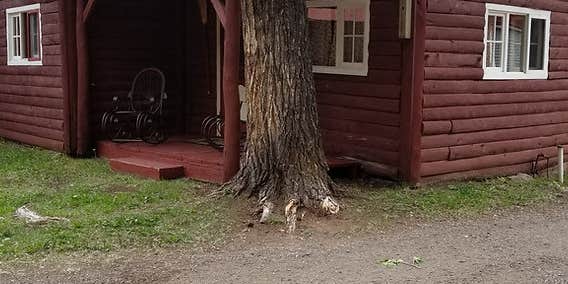 Camper submitted image from Cottonwood Cove Guest Ranch