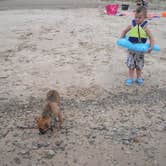 Review photo of Dunewood Campground — Indiana Dunes National Park by Amanda W., July 26, 2018