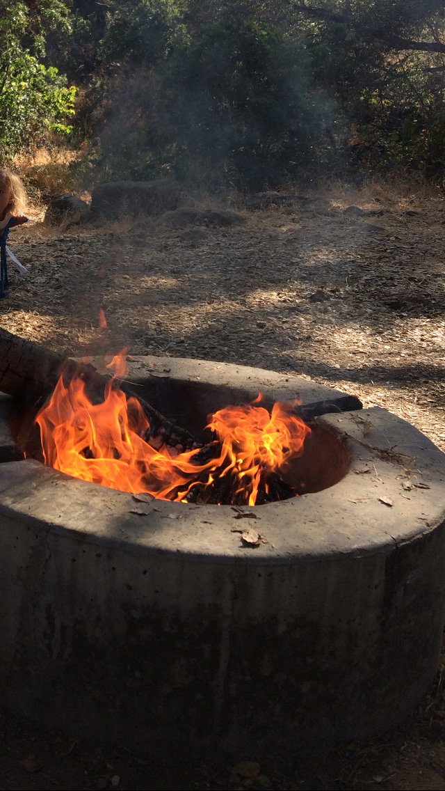 Hilary M.'s photo at Cachuma Lake Recreation Area near Los Alamos, CA