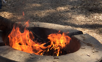 Hilary M.'s photo at Cachuma Lake Recreation Area near Los Alamos, CA