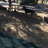 Review photo of Cachuma Lake Recreation Area by Hilary M., July 26, 2018