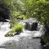 Review photo of Alder Springs — Willamette National Forest by Eva W., June 19, 2015