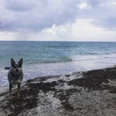 Review photo of Fort De Soto Campground by Shelly S., July 26, 2018