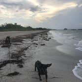 Review photo of Fort De Soto Campground by Shelly S., July 26, 2018