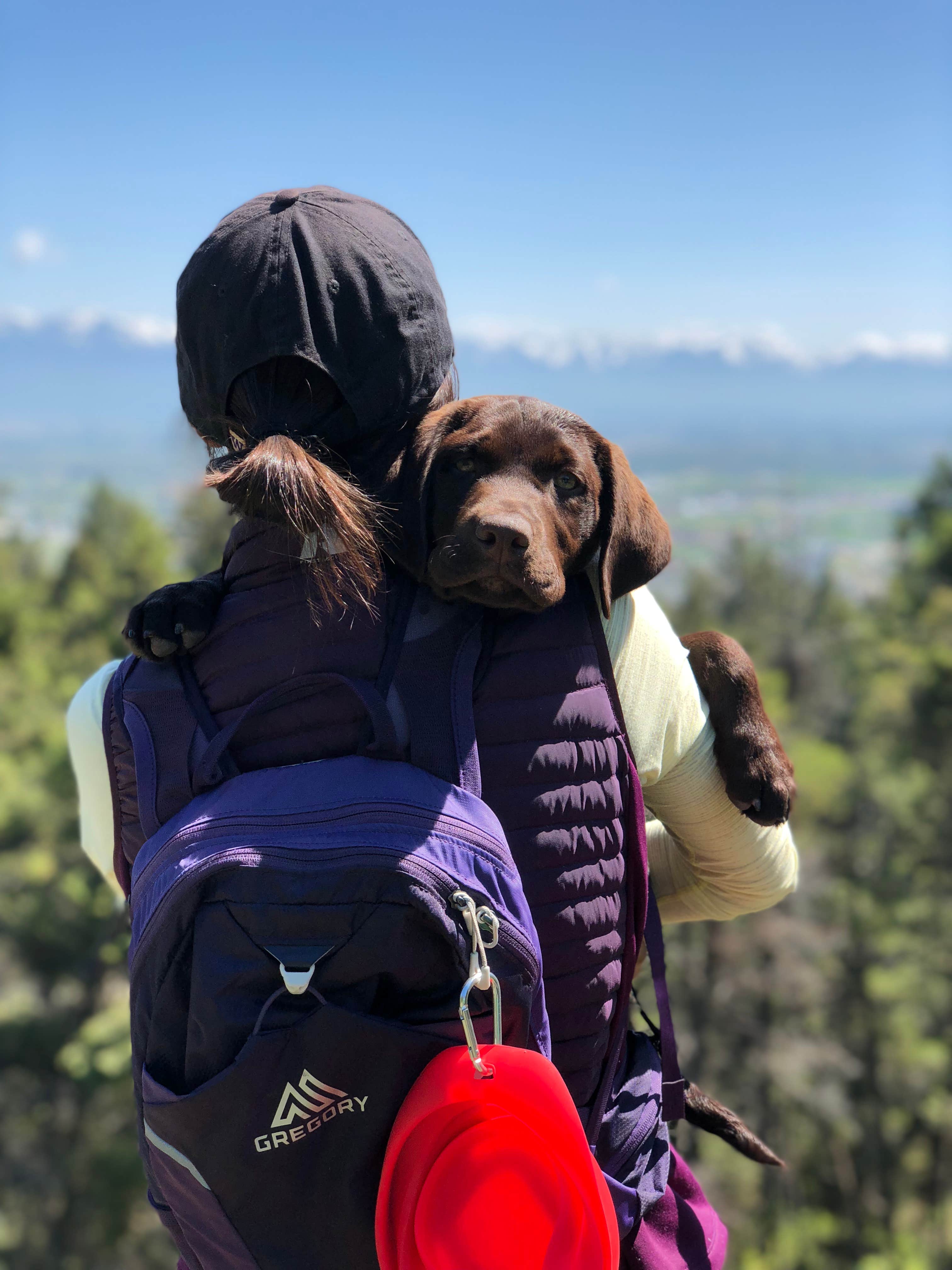 Sasha W.'s photo of camping with pets at Basin Campground near Nye, MT