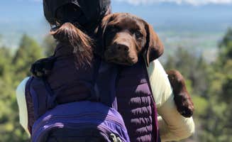 Sasha W.'s photo of camping with pets at Basin Campground near Roberts, MT