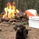 Review photo of Basin Campground by Sasha W., July 26, 2018