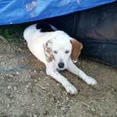 Review photo of Wyalusing State Park Campground by Ken K., July 26, 2018
