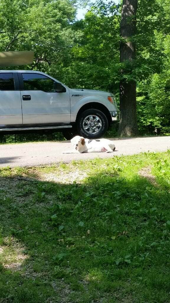 Ken K.'s photo of rv camping at Wyalusing State Park Campground near Lancaster, WI