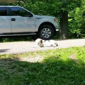 Review photo of Wyalusing State Park Campground by Ken K., July 26, 2018