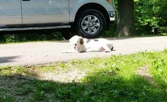 Ken K.'s photo of rv camping at Wyalusing State Park Campground near Bagley, WI