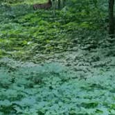 Review photo of Wyalusing State Park Campground by Ken K., July 26, 2018