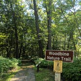 Review photo of Nelson Dewey State Park Campground by Jay W., July 26, 2018