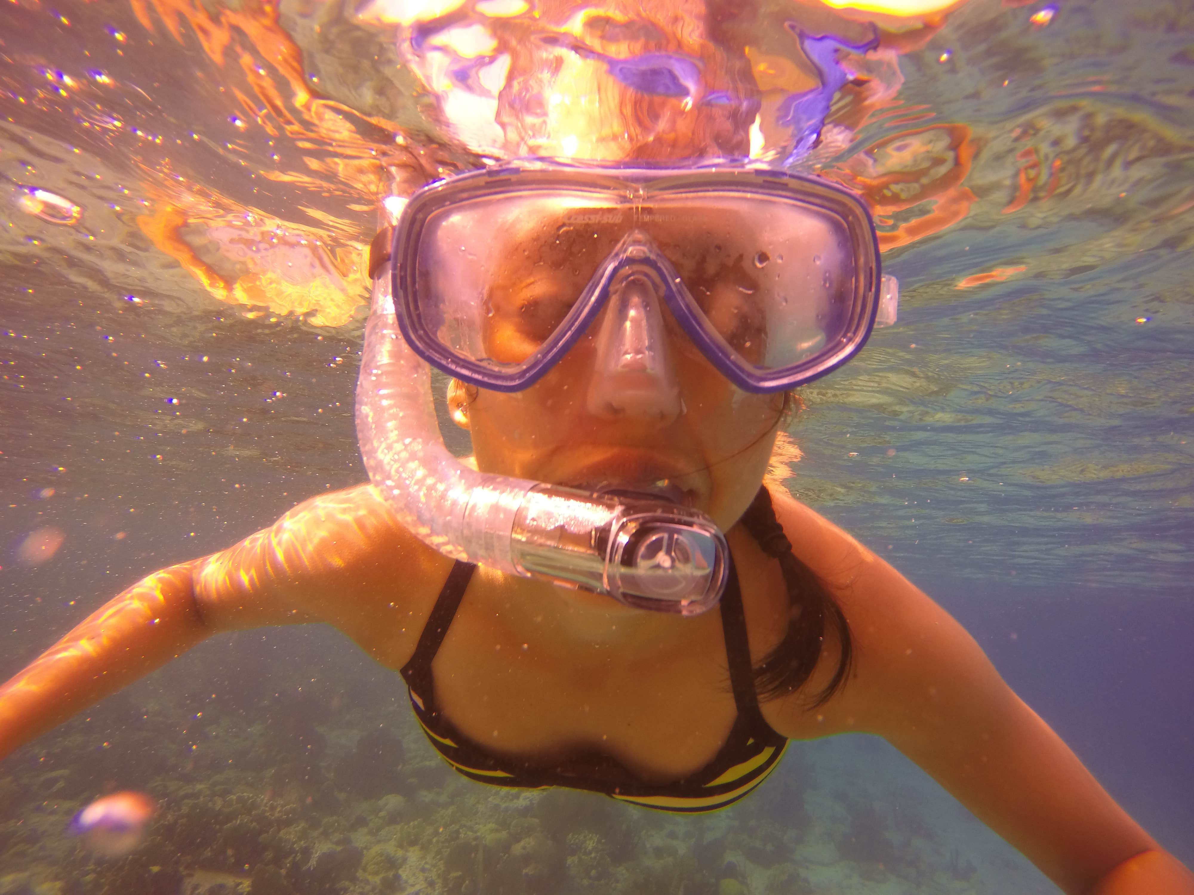 Camper-submitted photo at Kalopa State Rec Area - Hawaii near Pu'u O Umi Natural Area Reserve