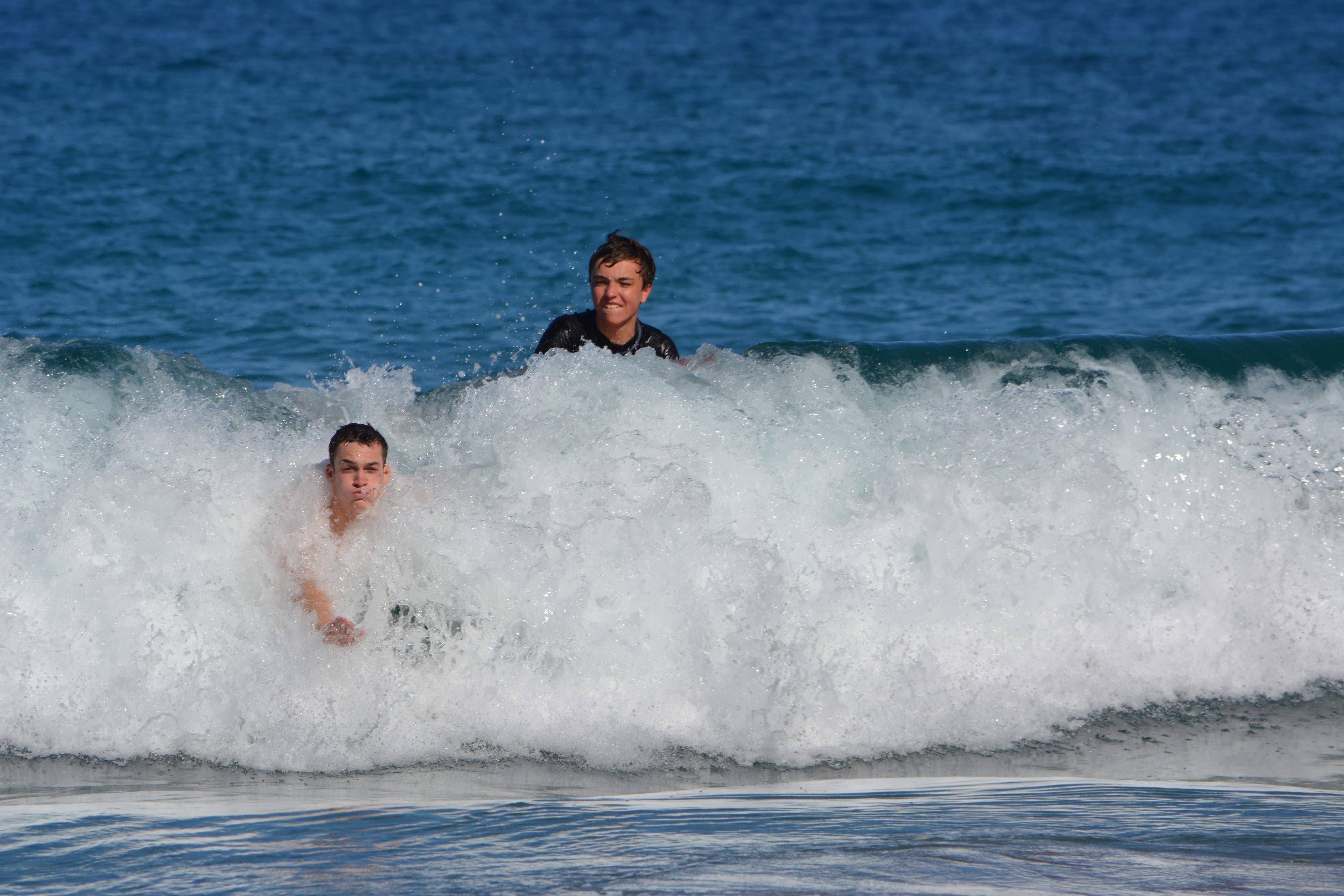 Camper submitted image from Kalopa State Rec Area - Hawaii - 1