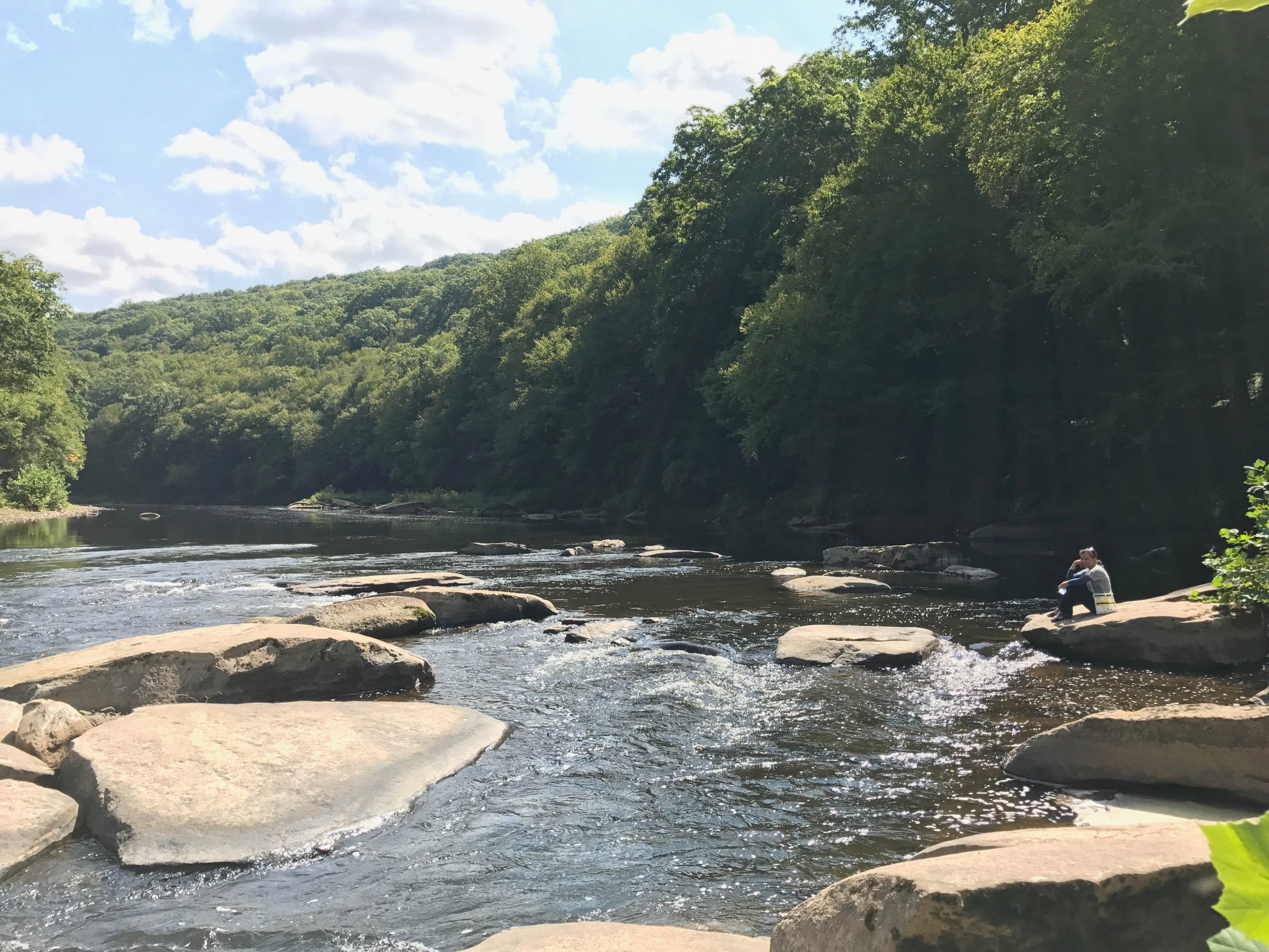 Camper submitted image from Clear Creek State Park Campground - 5