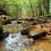 Review photo of Frozen Head State Park Campground by stacy H., July 27, 2018