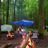 Review photo of Frozen Head State Park Campground by stacy H., July 27, 2018