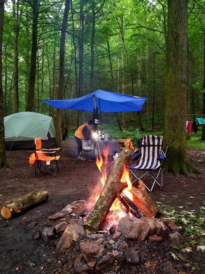 Camper submitted image from Frozen Head State Park Campground - 5
