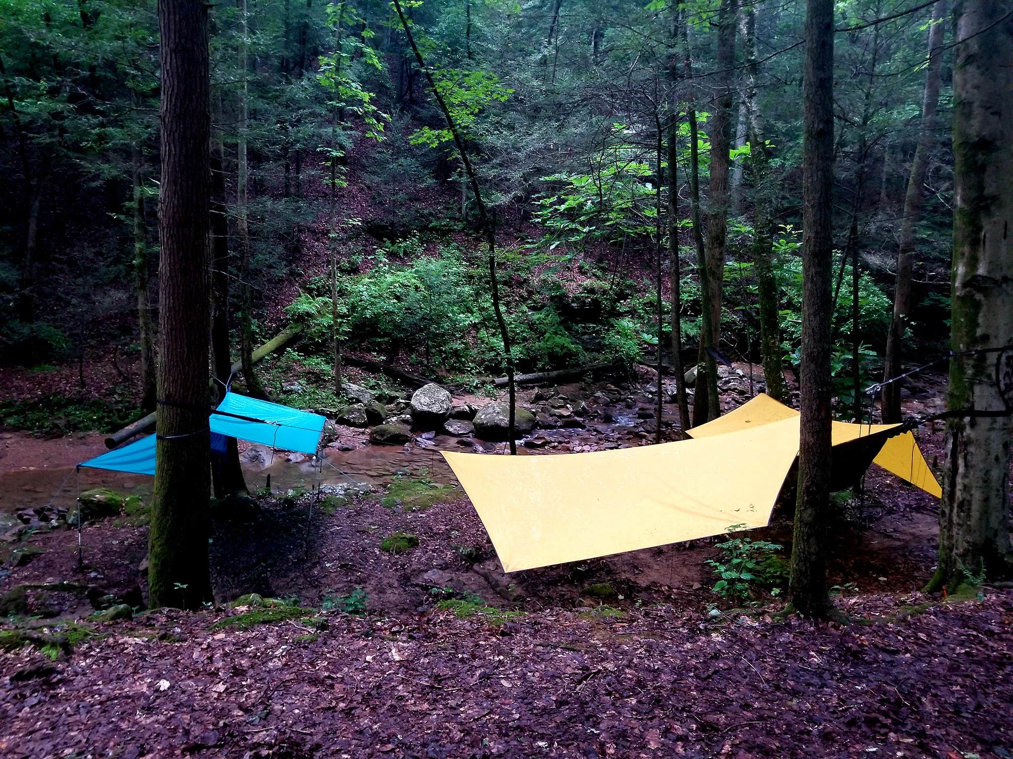 stacy H.'s photo at Frozen Head State Park Campground near Lake City, TN