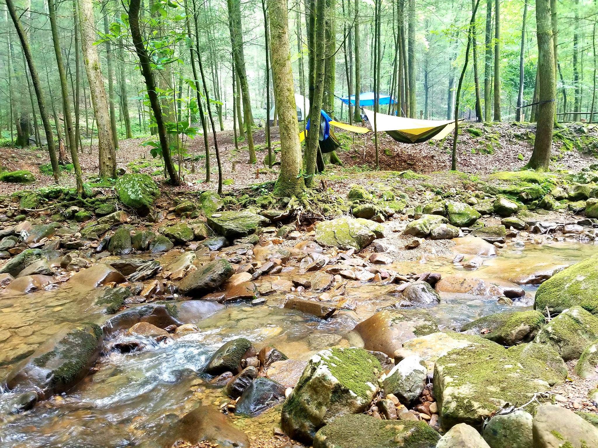 Camper-submitted photo at Frozen Head State Park Campground near Jamestown, TN