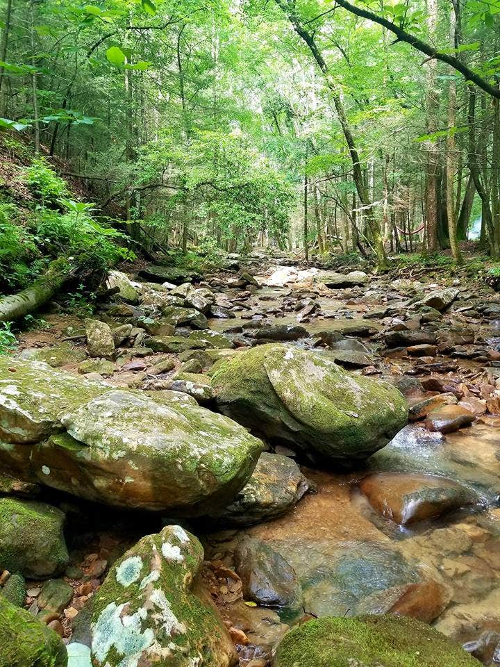 Camper-submitted photo at Frozen Head State Park Campground near Jamestown, TN