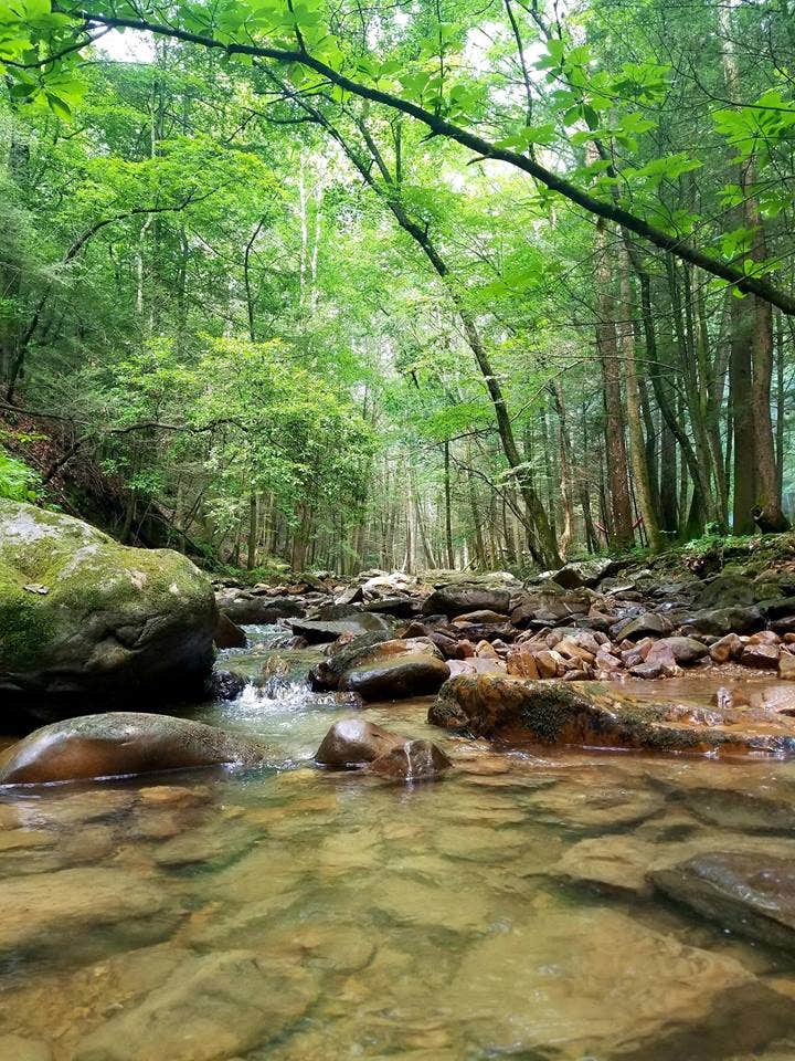 Camper-submitted photo at Frozen Head State Park Campground near Jamestown, TN