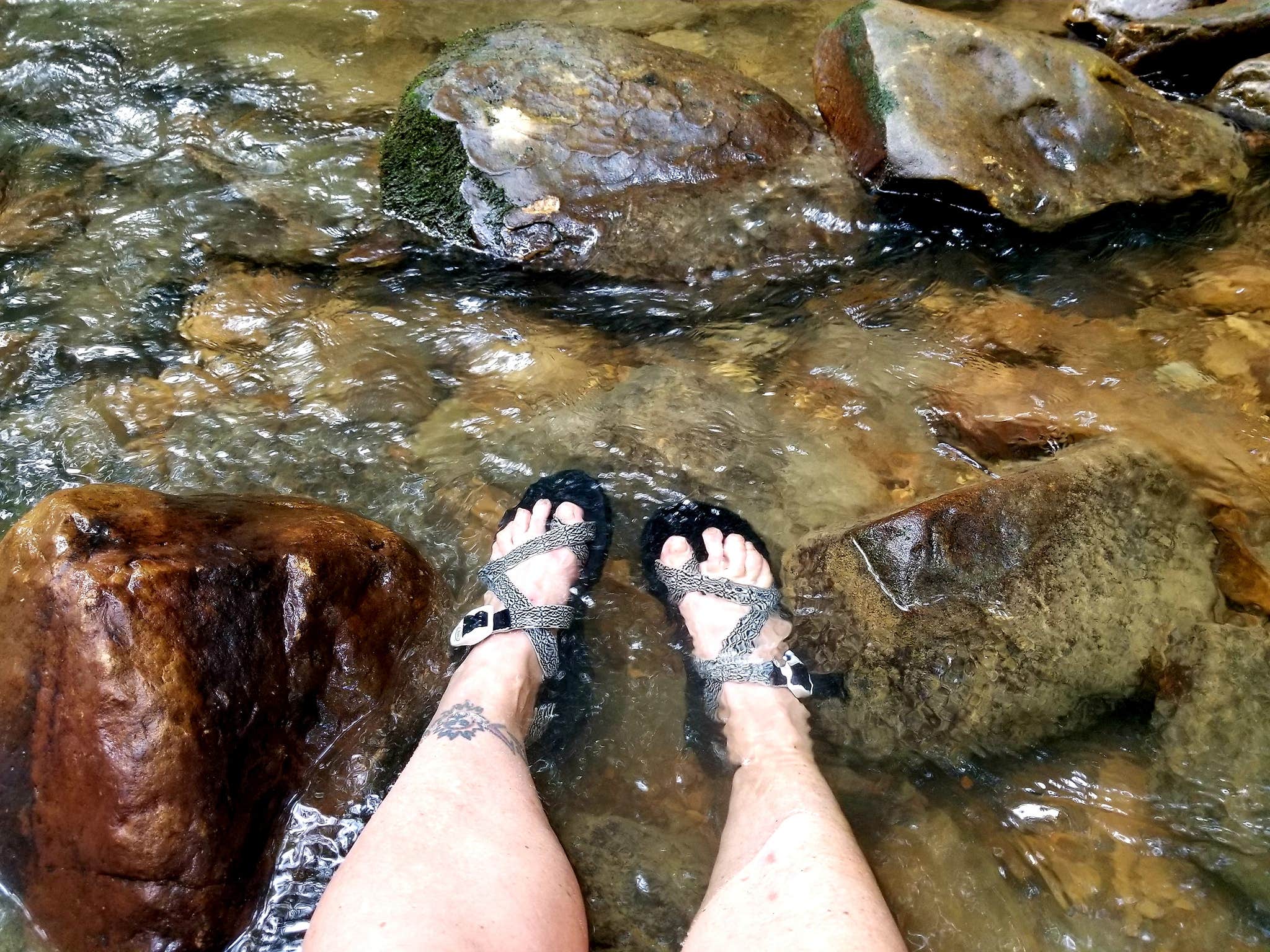 Camper-submitted photo at Frozen Head State Park Campground near Jamestown, TN