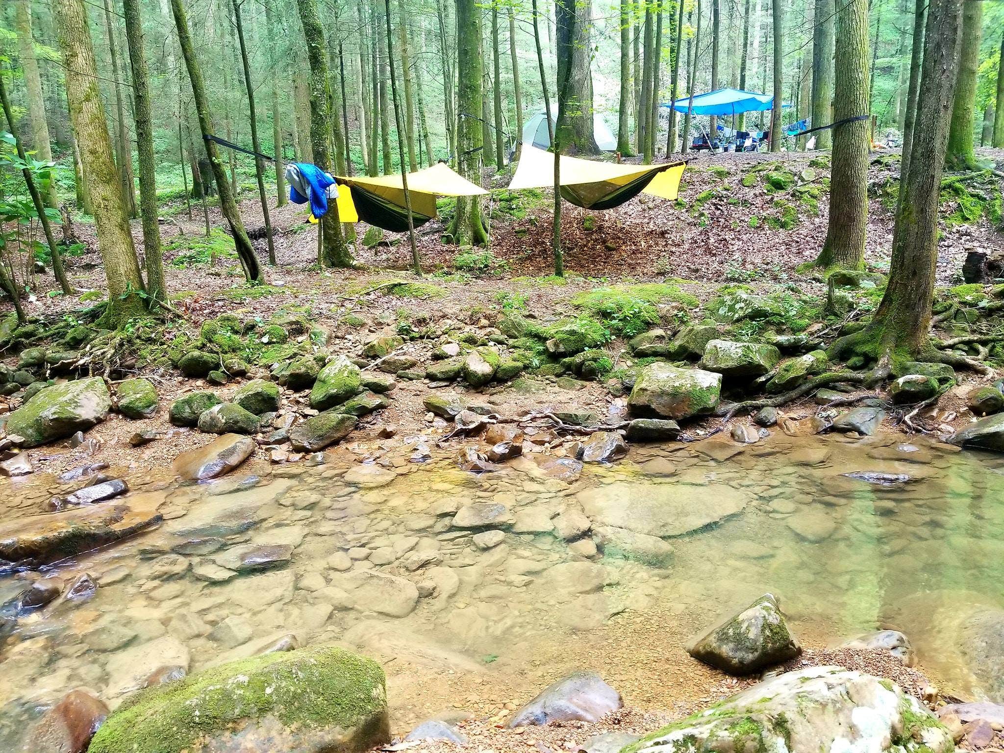 stacy H.'s photo of tent camping at Frozen Head State Park Campground near Andersonville, TN