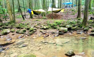 stacy H.'s photo of tent camping at Frozen Head State Park Campground near Andersonville, TN