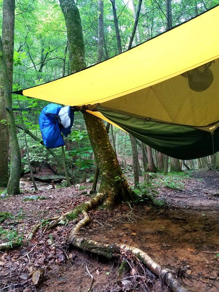 stacy H.'s photo at Frozen Head State Park Campground near Harriman, TN