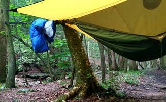 stacy H.'s photo at Frozen Head State Park Campground near Harriman, TN