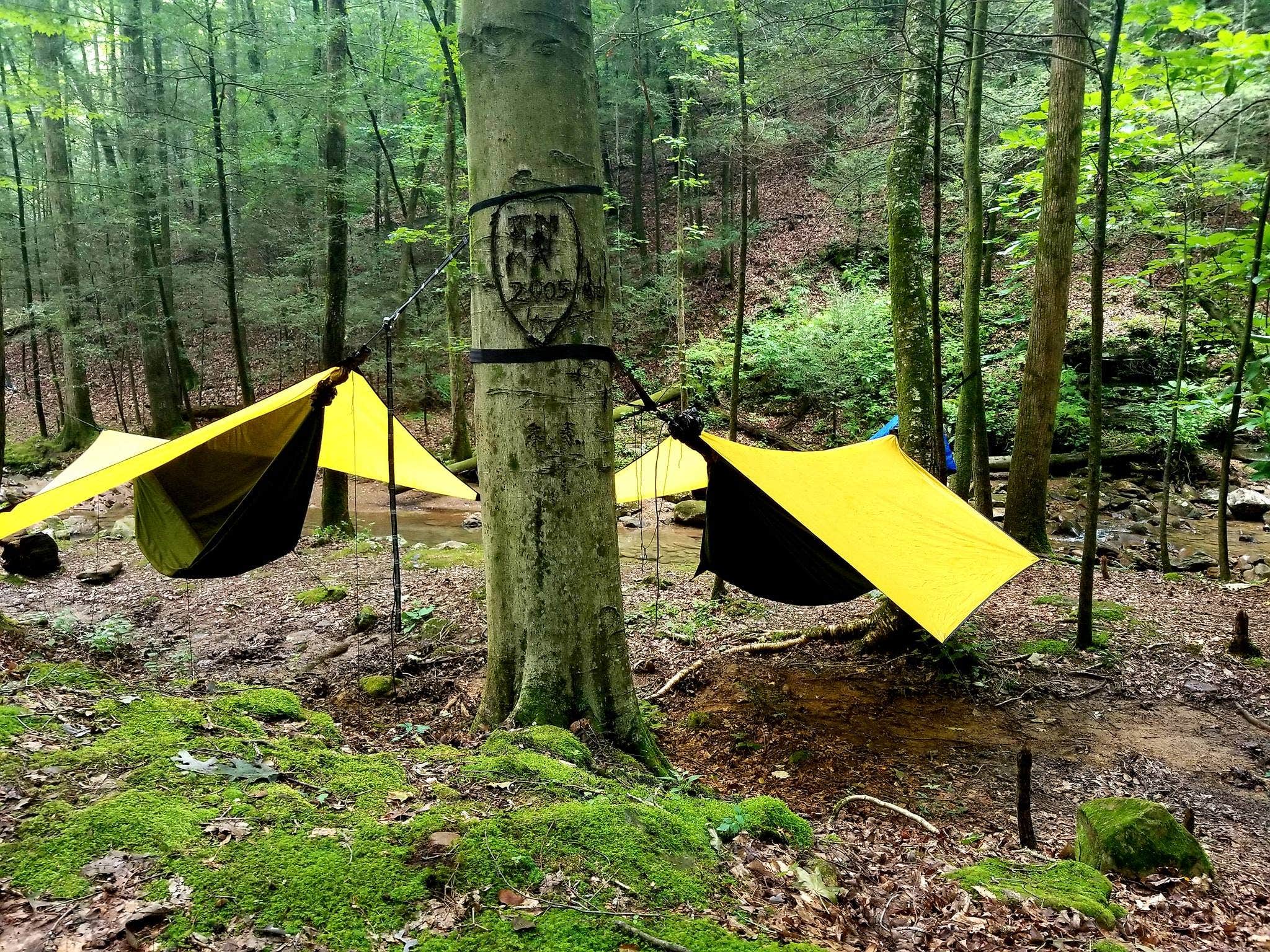 stacy H.'s photo of tent camping at Frozen Head State Park Campground near Andersonville, TN