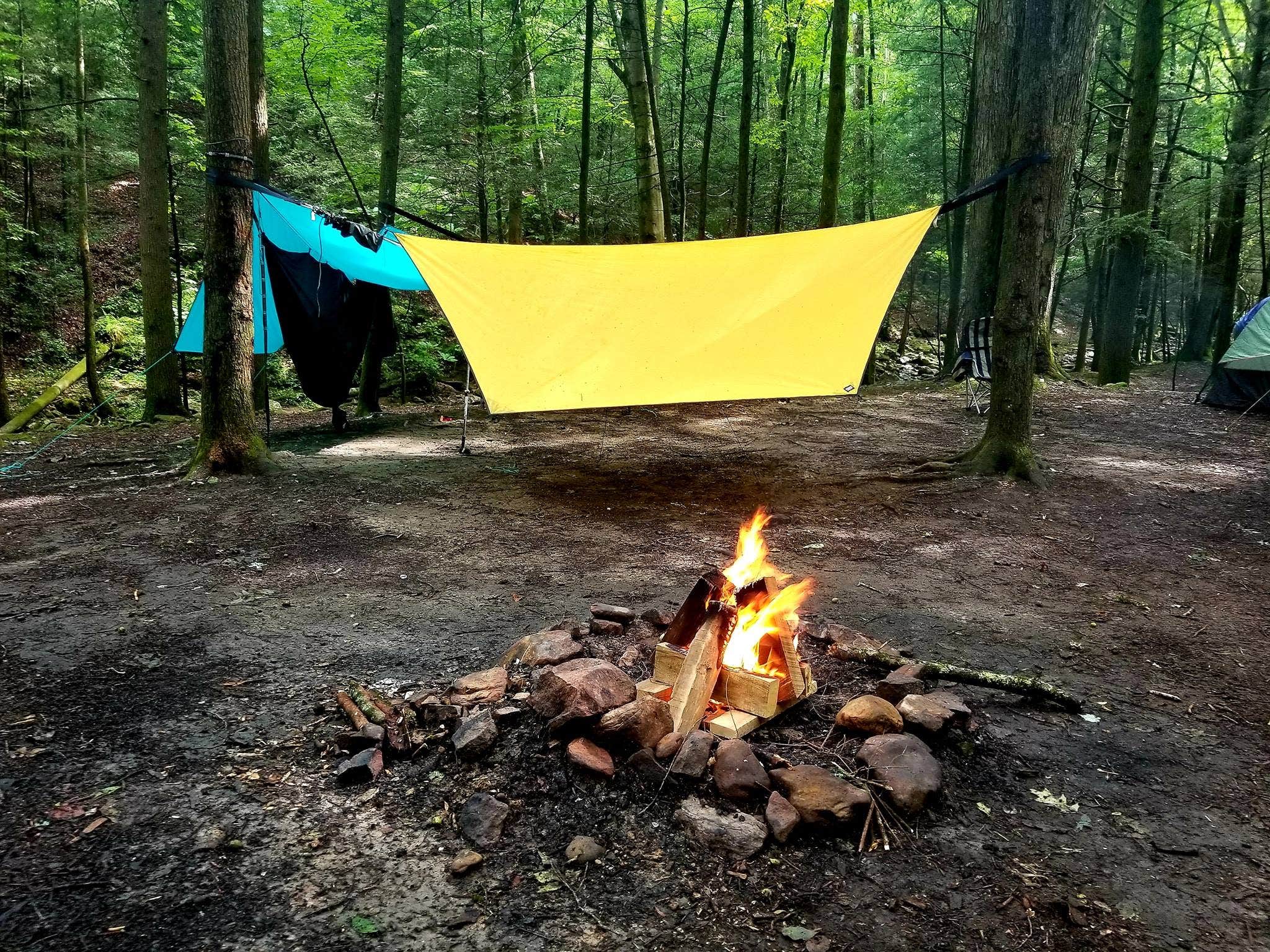 stacy H.'s photo of tent camping at Frozen Head State Park Campground near Rugby, TN