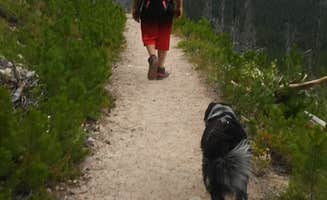 Krista H.'s photo of camping with pets at Basin Campground near Bridger, MT