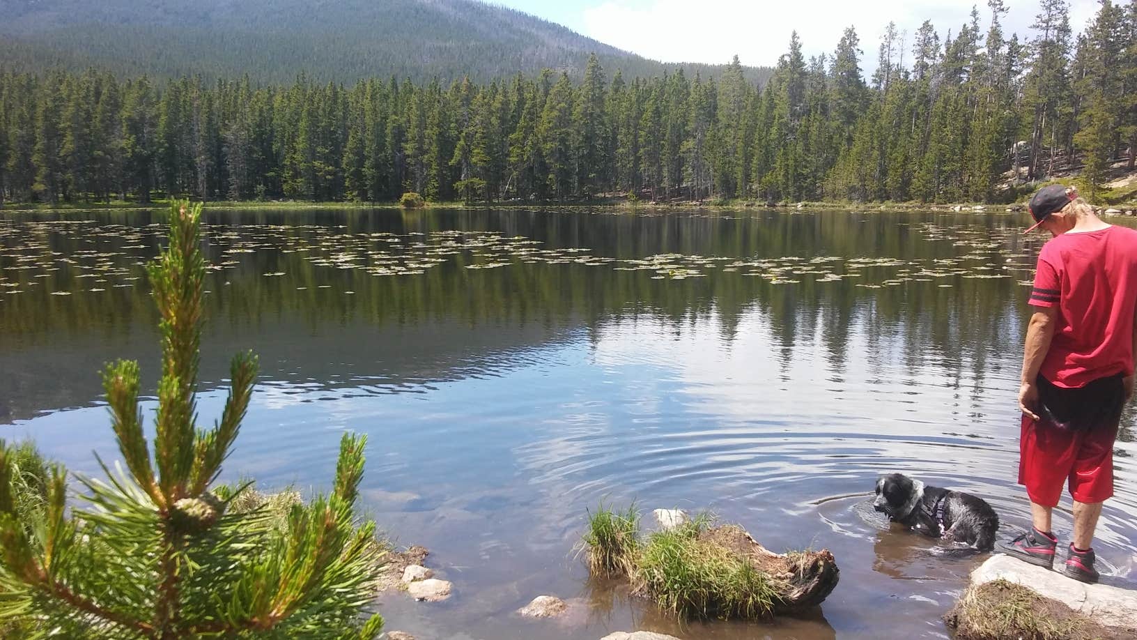 Red Lodge, Montana Campground