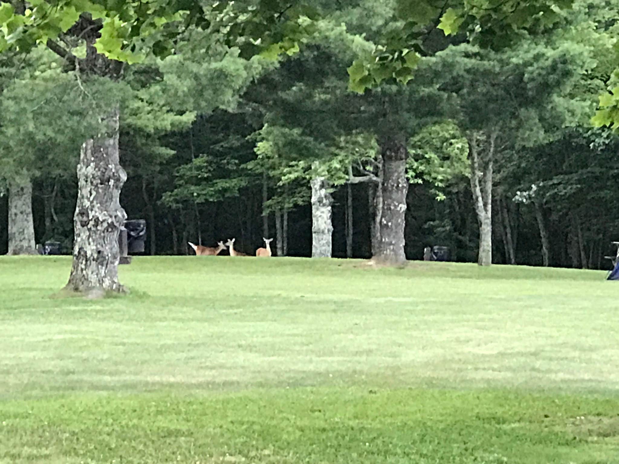 Camper-submitted photo at Pipestem Resort State Park Campground near Herndon, WV