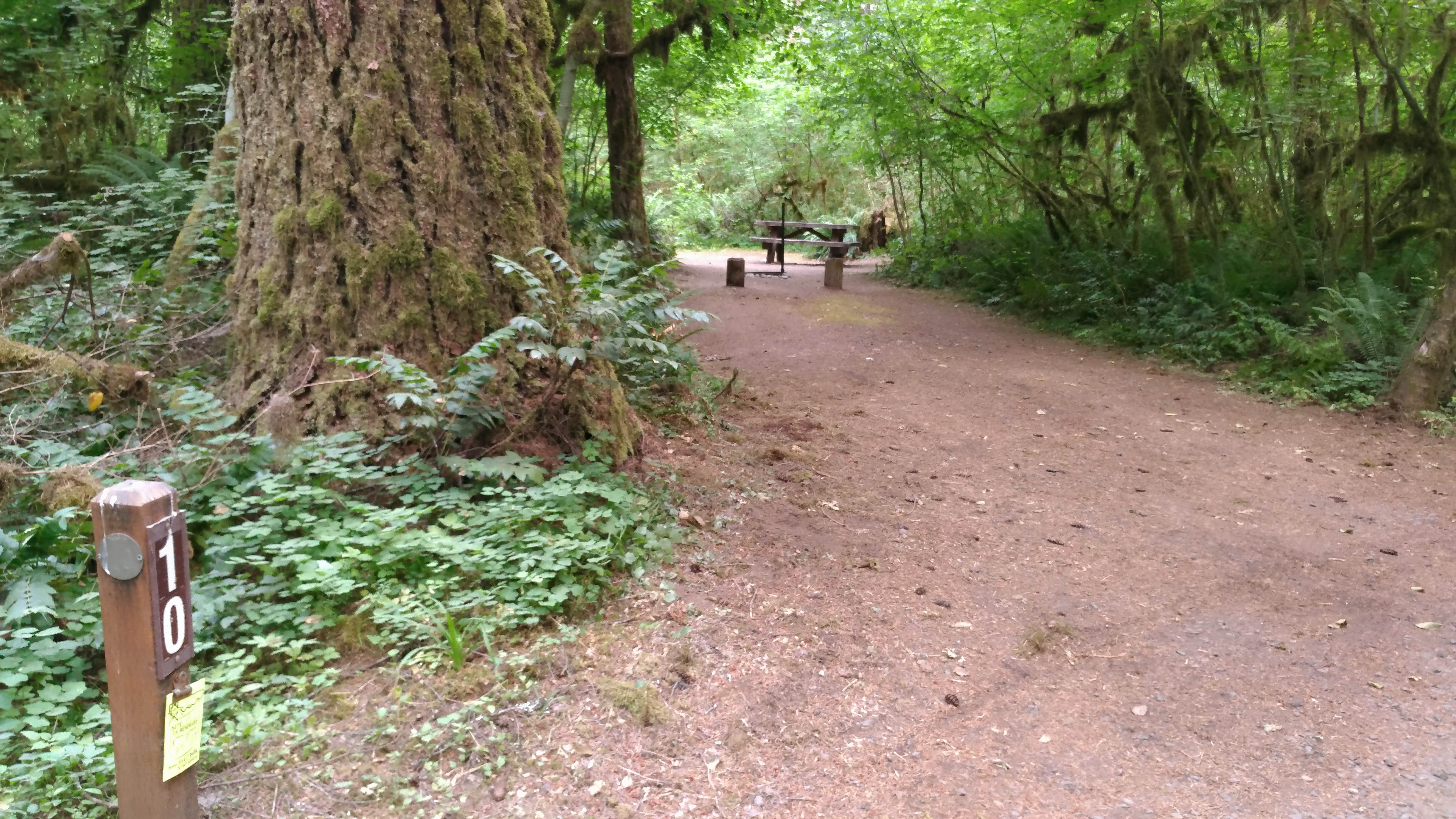 Camper-submitted photo at Yukwah Campground near Foster, OR