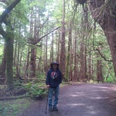 Review photo of Tillamook State Forest Nehalem Falls Campground by Deacon J., July 27, 2018