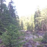 Review photo of Tillamook State Forest Nehalem Falls Campground by Deacon J., July 27, 2018