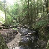 Review photo of Fisherman's Island State Park Campground by Laura K., July 27, 2018