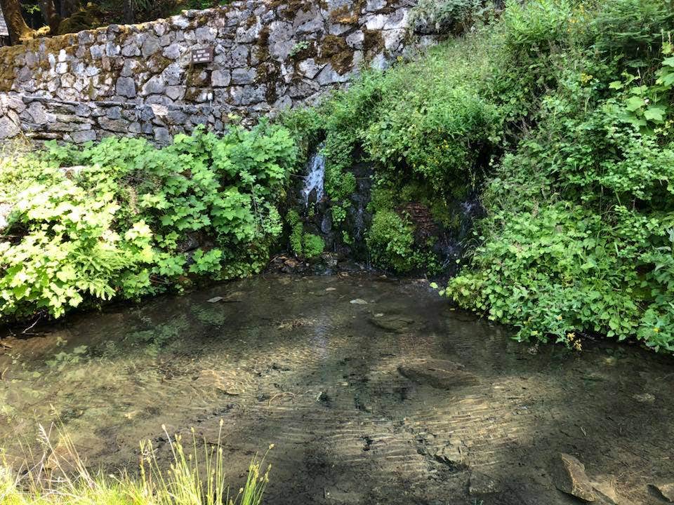 Nature