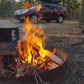 Review photo of Brendan Byrne State Forest by Lindsay D., July 27, 2018