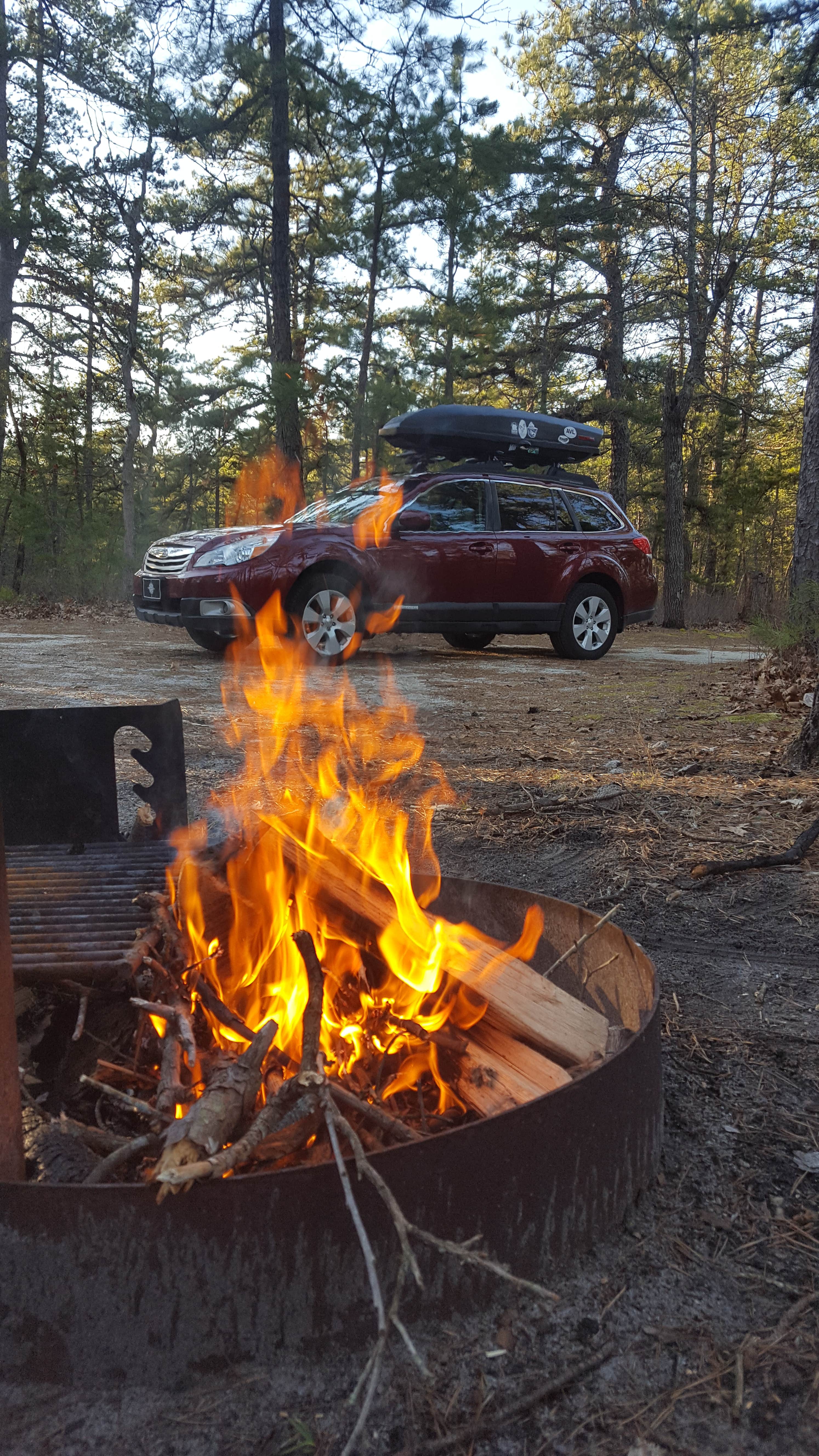 Camper submitted image from Brendan Byrne State Forest - 2