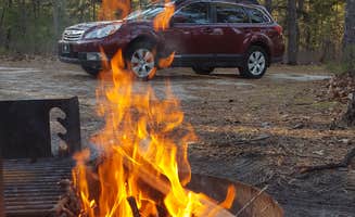 Lindsay D.'s photo at Brendan Byrne State Forest in New Jersey