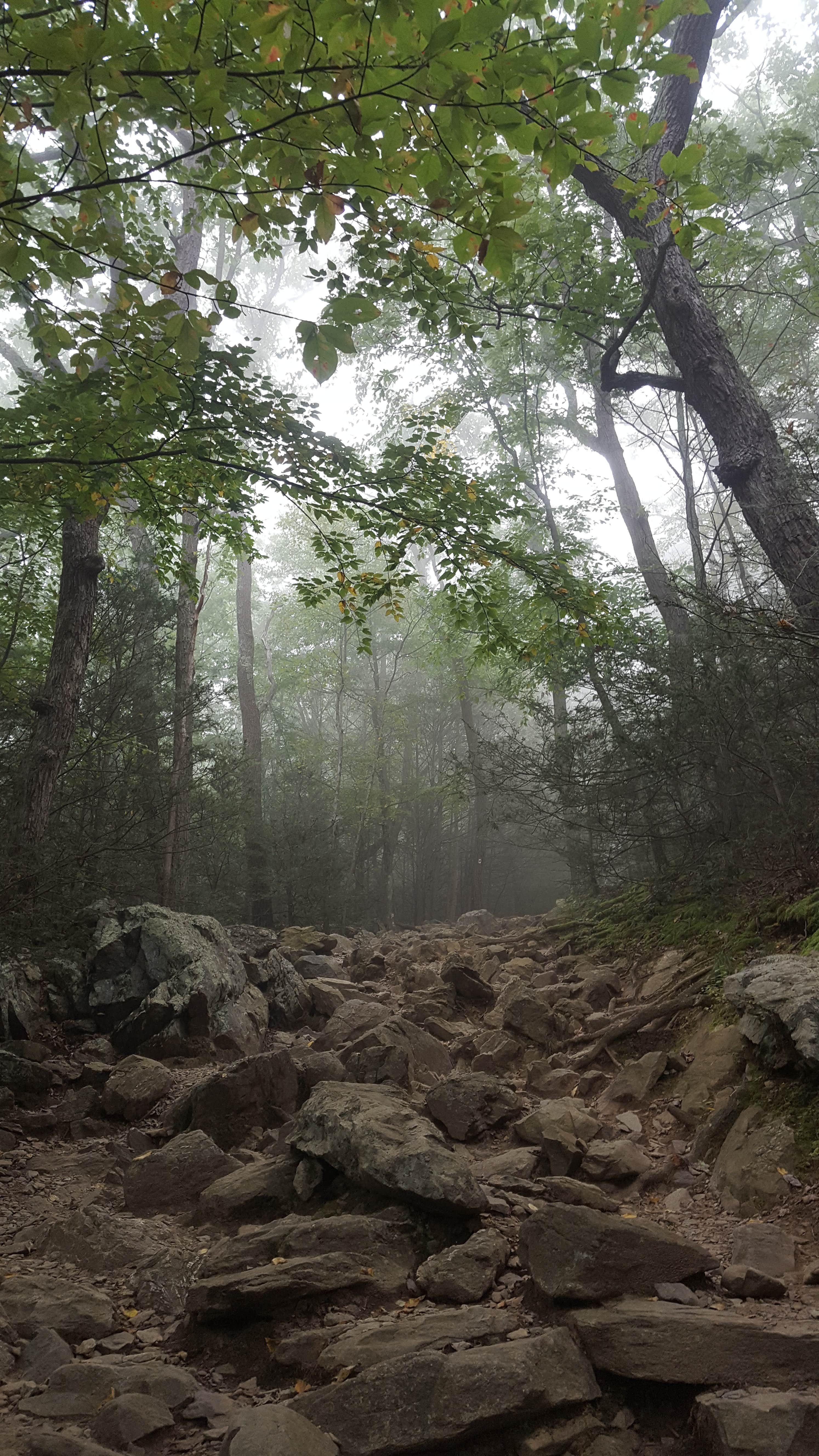 Camper-submitted photo at Jenny Jump State Forest near Tobyhanna, PA