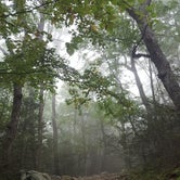 Review photo of Jenny Jump State Forest by Lindsay D., July 27, 2018