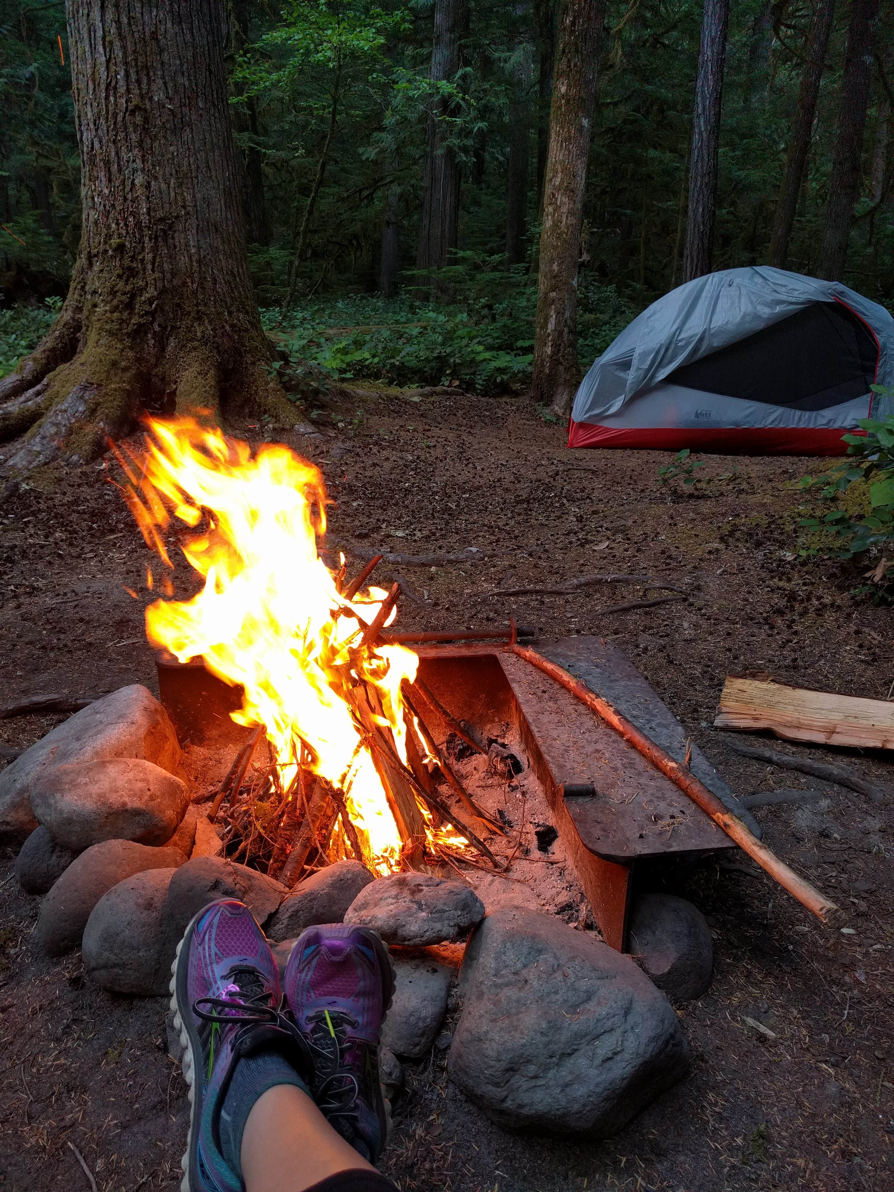 Camping near Goat Lake/Snowgrass Flat Backcountry Camp: La Wis Wis Campground, Packwood, Washington