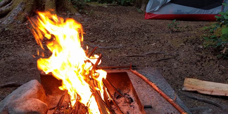 Camper submitted image from La Wis Wis Campground