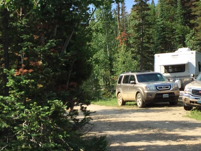 Camper submitted image from Bow River - 4